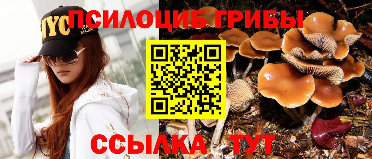 Галлюциногенные грибы мицелий Бугуруслан
